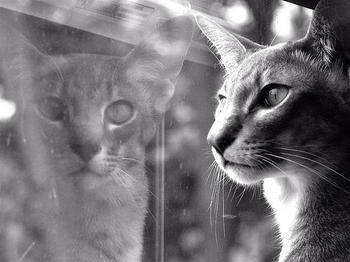 Image Credit: Unknown