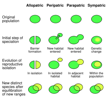 The four mechanisms of speciation via WikiMedia