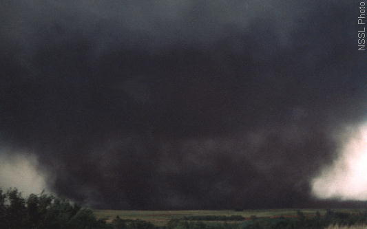 A wedge tornado, nearly a mile wide via NSSL