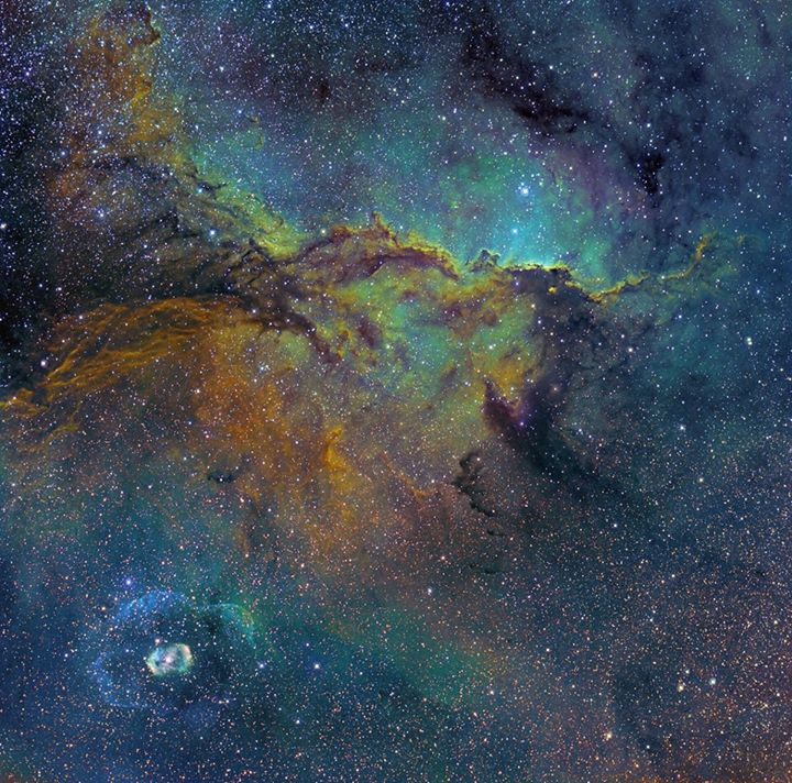 Image Credit: Michael Sidonio