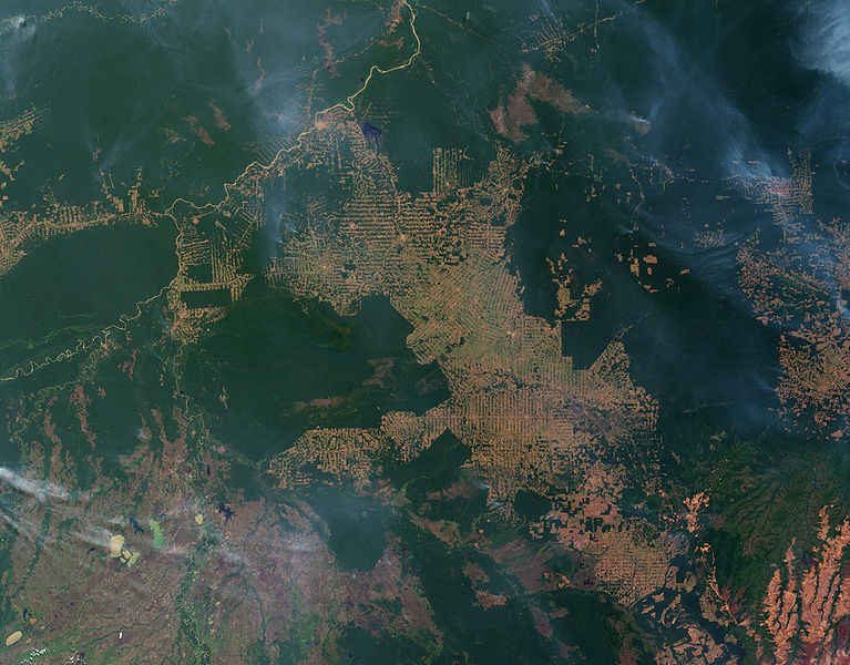 Deforrestation: Intact forest is deep green, cleared areas are tan (bare ground) or light green (farms) Via NASA