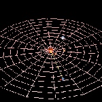 Neptune_Orbit