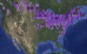 Snowy Owl sighting map for winter 2013-2014. Credit: eBird