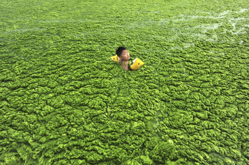 Extreme algae off the coast of China via  China Daily/Reuters