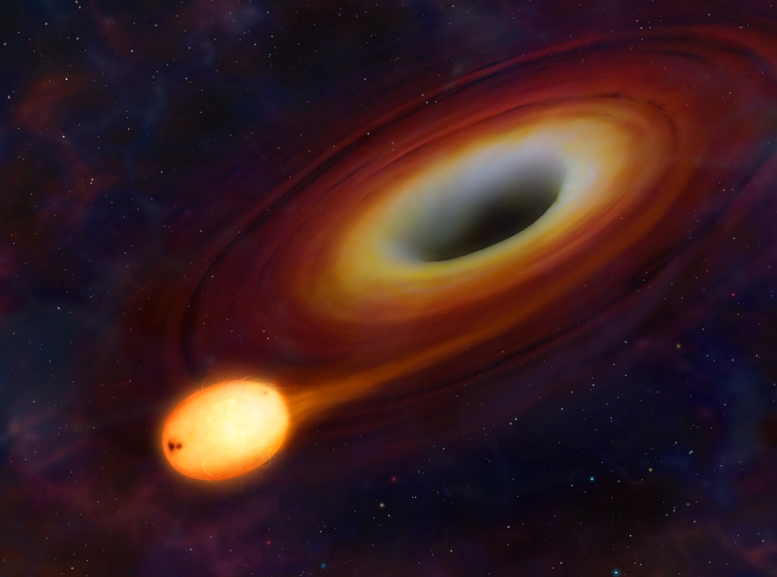 A star about to be consumed by a black hole via University of Warwick / Mark A. Garlick