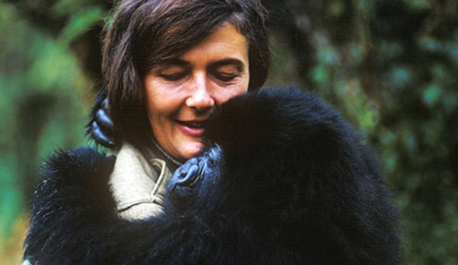 Dian Fossey: A Scientist to Remember