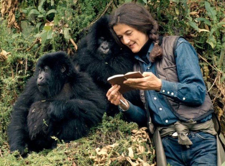 Dian Fossey: A Scientist to Remember