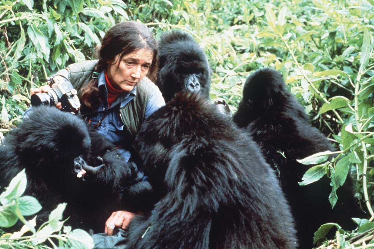 Dian Fossey: A Scientist to Remember