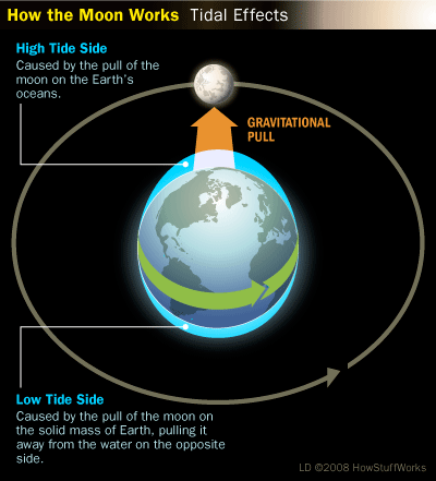 An illustration portraying how tides work (Image Credit: How Stuff Works)