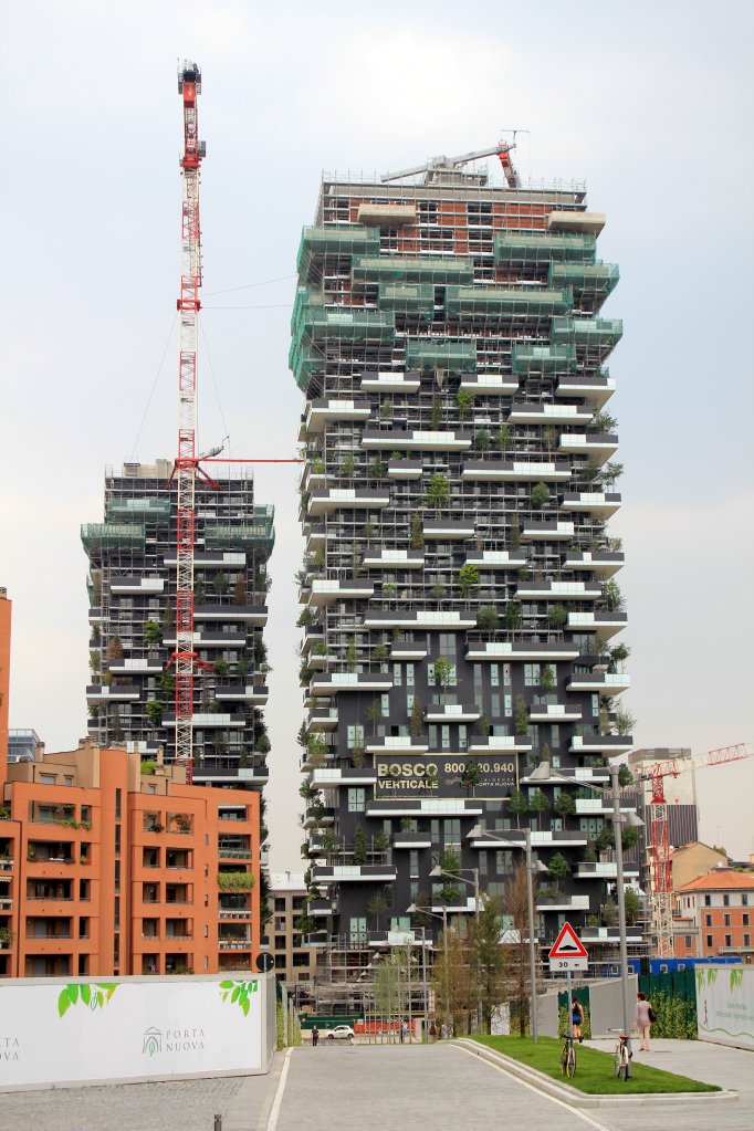 Forest under construction.