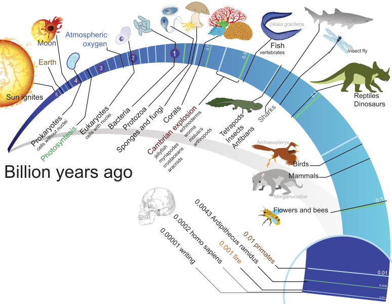 Timeline of Life on Earth (Image via Wikimedia Commons)
