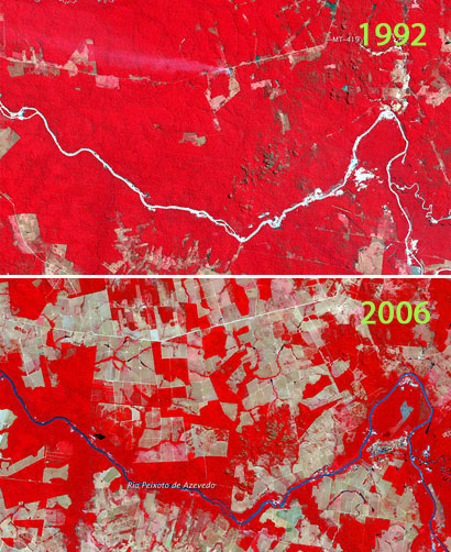 Deforestation in Mato Grosso, Brazil, 1992 to 2006 via NASA