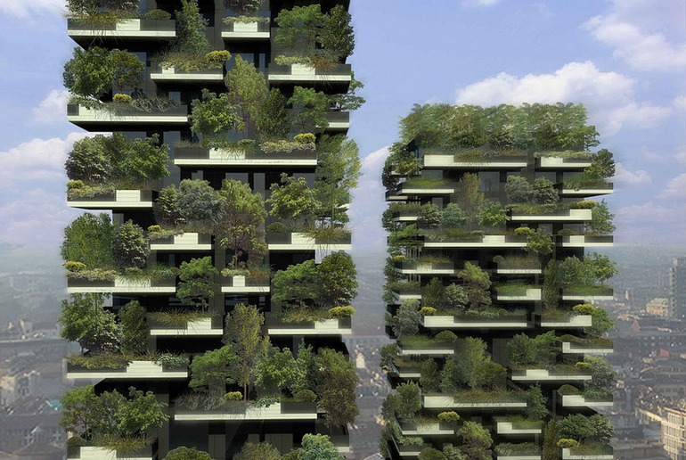 Future projection of the forest.
