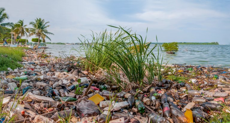 See Five Kinds of Pollution Illustrated by Images and Video