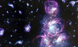 Image Credit: Adolf Schaller/AP