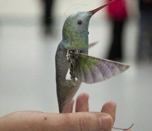 Image Credit: AeroVironment