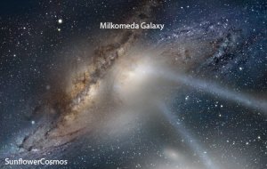A rendering of 'Milkdomeda' (From Sunflower Cosmos)