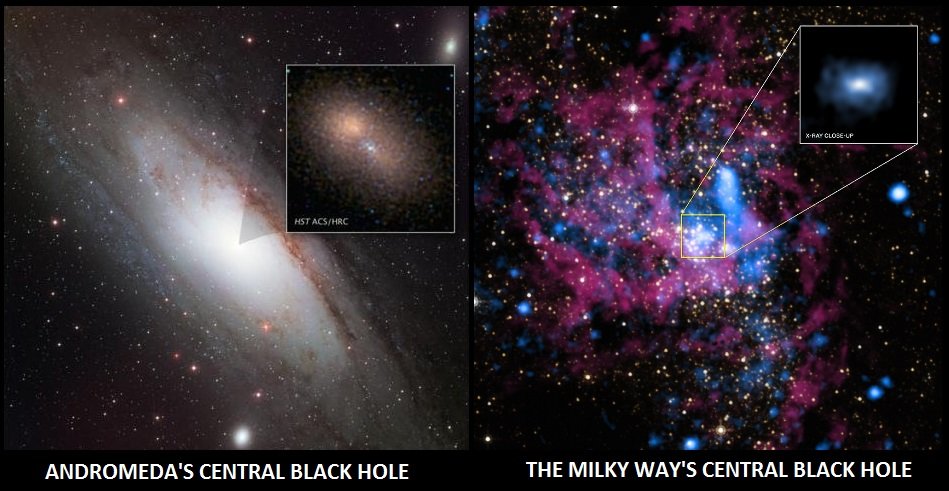 The Central Black Holes of Milkdomeda 
