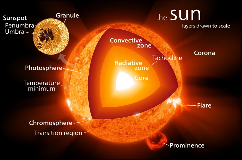 The interior of the sun (via: Wikipedia Commons, user: Kelvinsong)
