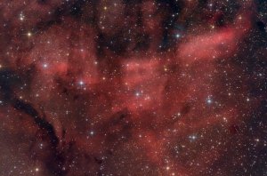 Image Credit: Luca Argalia