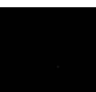 MRI 19