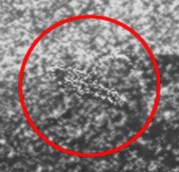 A close-up of a photograph of the surface of Venus taken by the Venera-13 probe, claimed to show a scorpion-like lifeform.