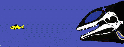 How echolocation works, shown in dolphin seeking fish. Redrawn from Payne, et al. (1983) by Pcb21