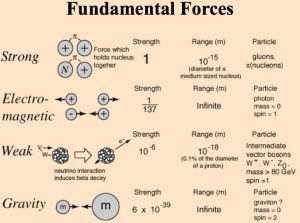 A table showing the relatively strengths of the four fundamental forces. Image Credit: HyperPhysics