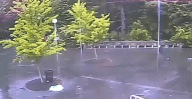 lightning hits tree