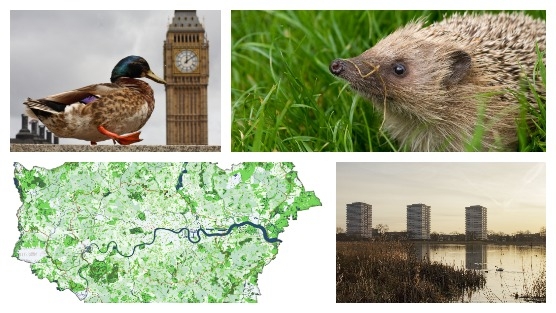 London images