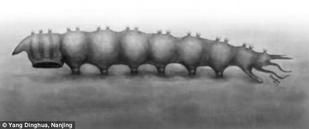 Artists rendition of parasite. 