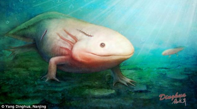 How scientists believe parasite attached to salamanders. Image via Yang Dinghua, Nanjing