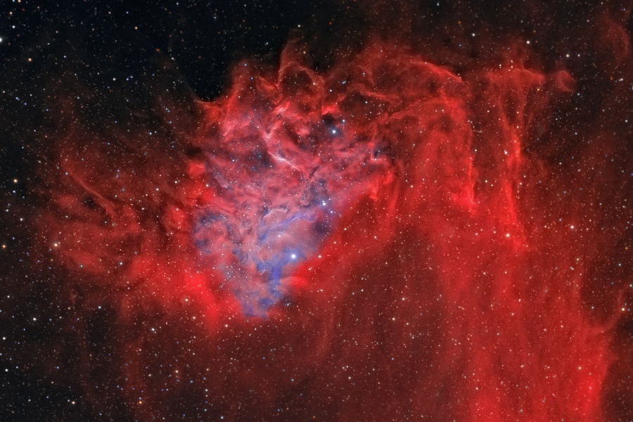 A closer look (Credit: Rolf Geissinger)