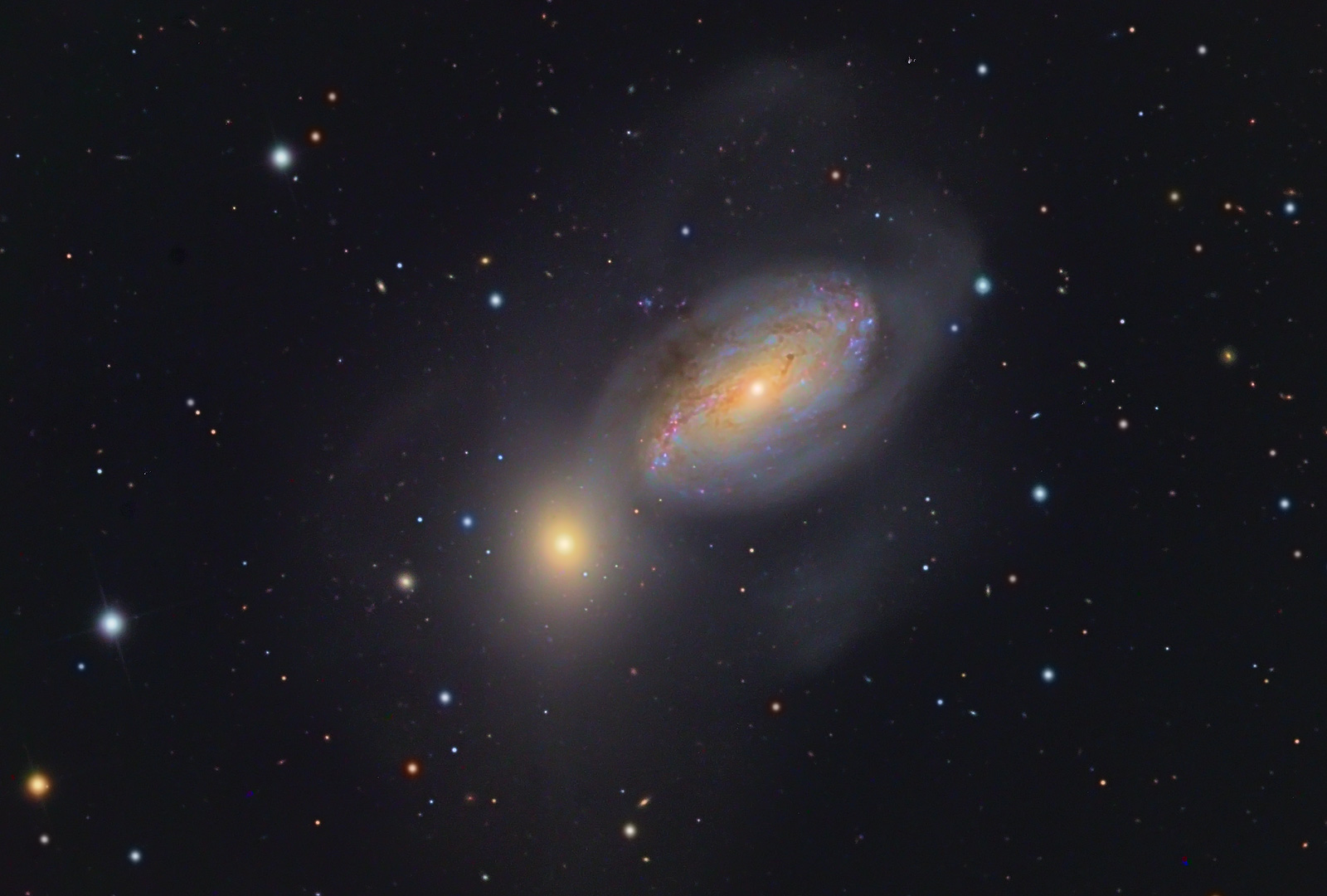 Image Credit: Kent Biggs