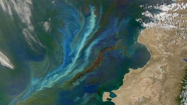 The Phytoplankton Boom From Space (Credit: NASA)