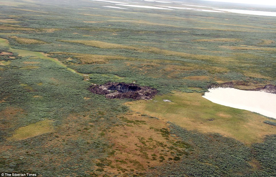 Image via Siberian Times