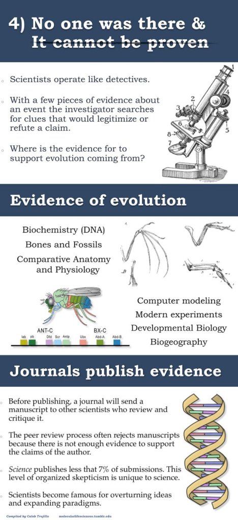 evolution misconceptions theory 4