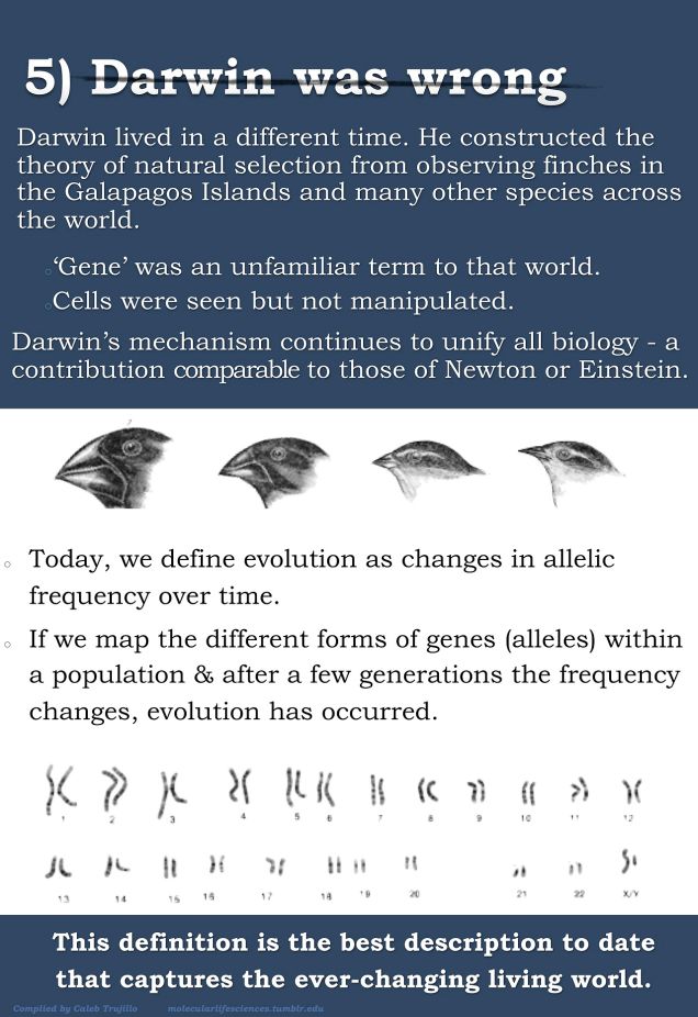evolution misconceptions theory 5