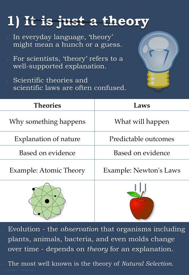 evolution misconceptions theory