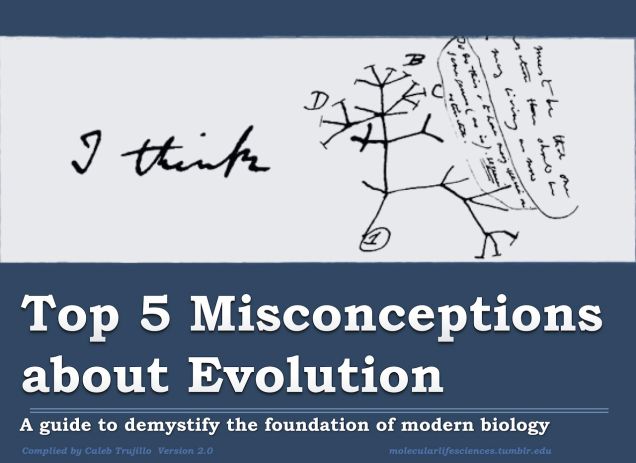 evolution misconceptions