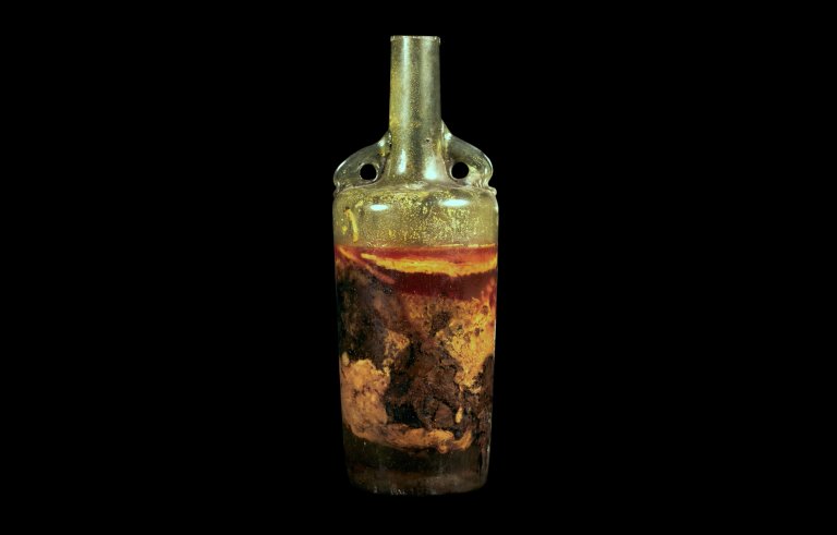Meet The World’s Oldest Bottle of Wine