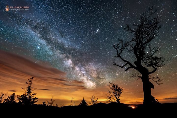 Image Credit: Mike Taylor