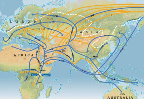 A map shows human migration routes beginning about 100,000 years ago, based on mitochondrial (yellow) and Y-chromosome (blue) DNA evidence collected by the National Geographic Society's Genographic Project and other sources.