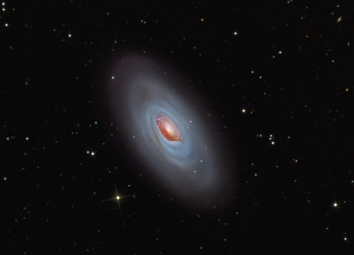 Sleeping Beauty (Image Credit: Martin Pugh)