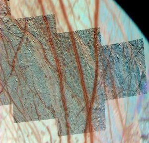 alse-color image of Europa's trailing northern hemisphere, where subduction zones are hypothesized to exist. Credit: NASA/JPL/University of Arizona.