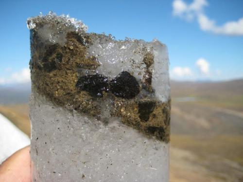 An ice core containing ancient caribou feces. It contains caribou DNA, digested plants, and ancient viruses. Credit: Brian Moorman