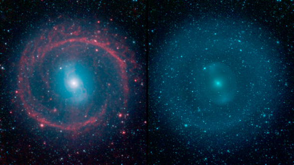 NGC 1291 in Infrared (Credit: NASA/JPL-Caltech)