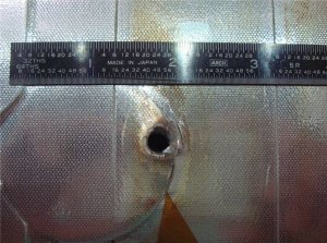 The damage inflicted on Endeavour by a small object in space (Credit: NASA)