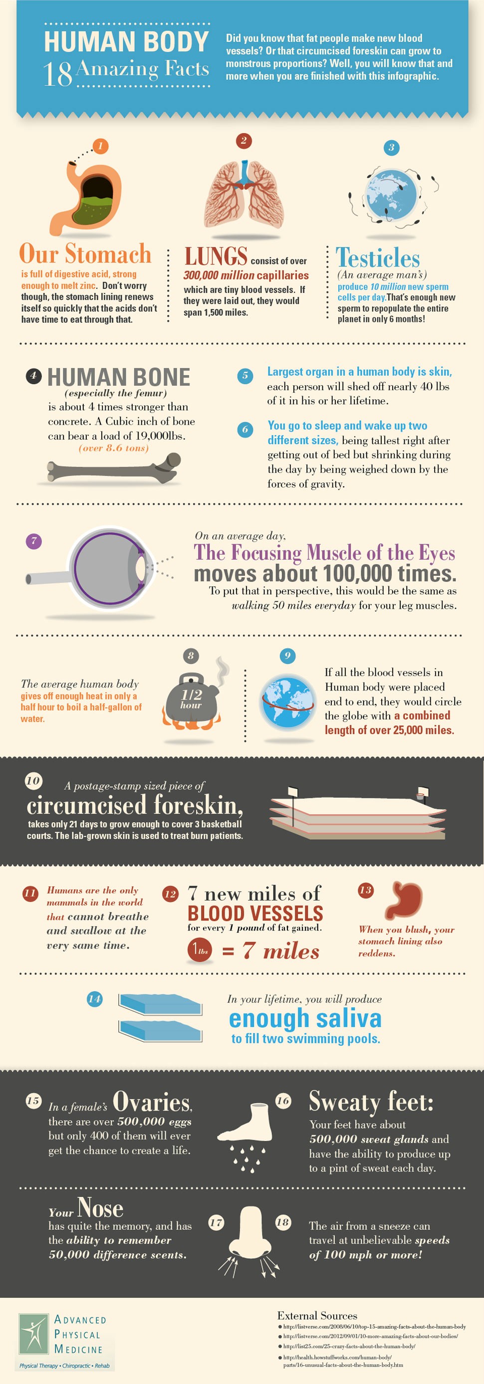 human body facts