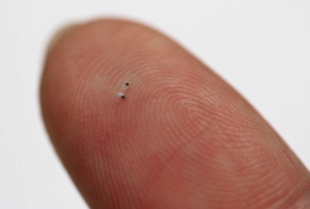 Tiny Scallop-Like Robots Designed To Deliver Drugs Through The Bloodstream To Treat Diseases